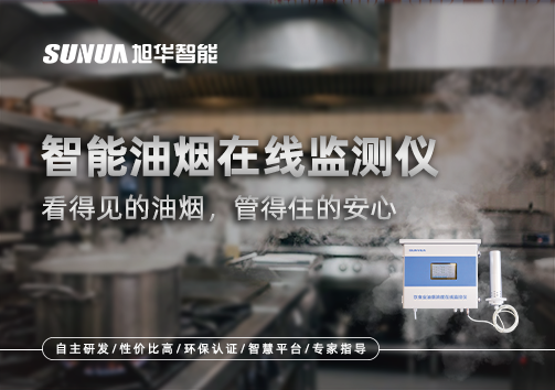 智能油烟在线监测仪：看得见的油烟，管得住的安心